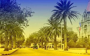 SIDI BEL ABBES 529  BD REPUBLIQUE